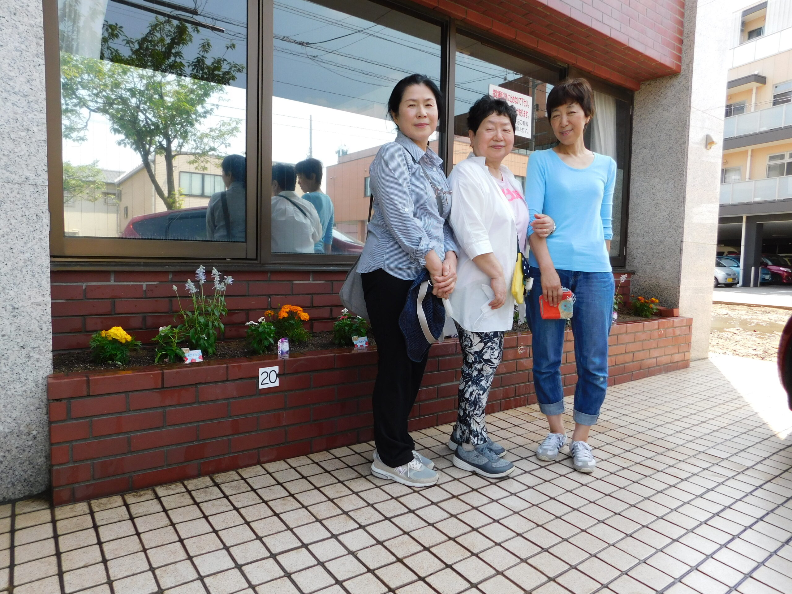 事務局前の花壇に植栽しました